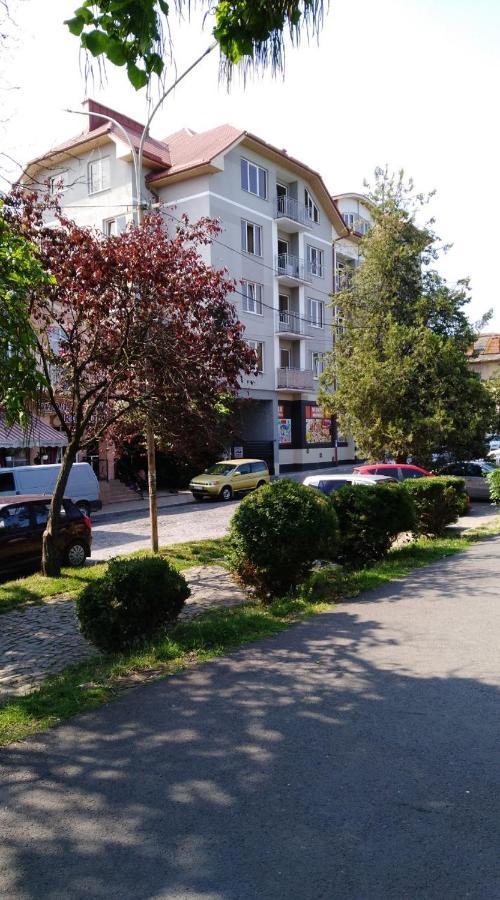 Apartments Domovik Просторная Квартира С Видом На Горы Mukačevo Exteriér fotografie